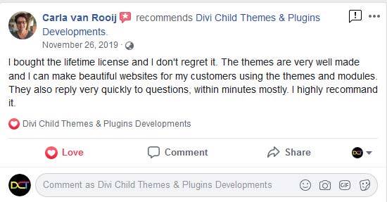 Divi Child Themes