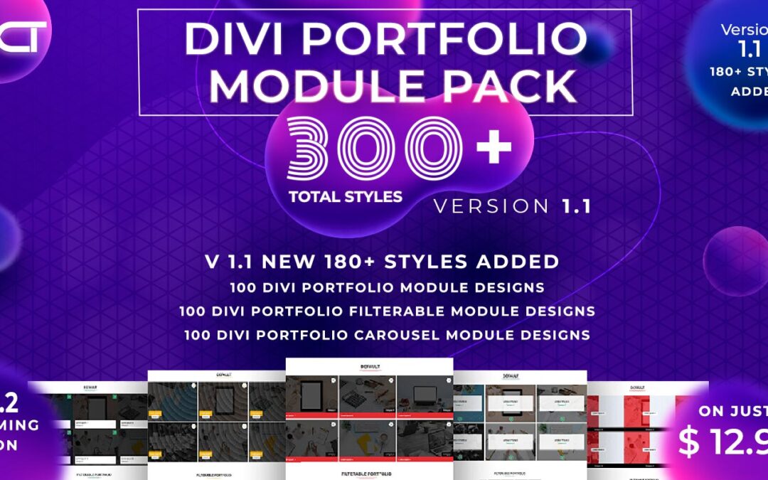 Divi Portfolio Module Pack Documentation