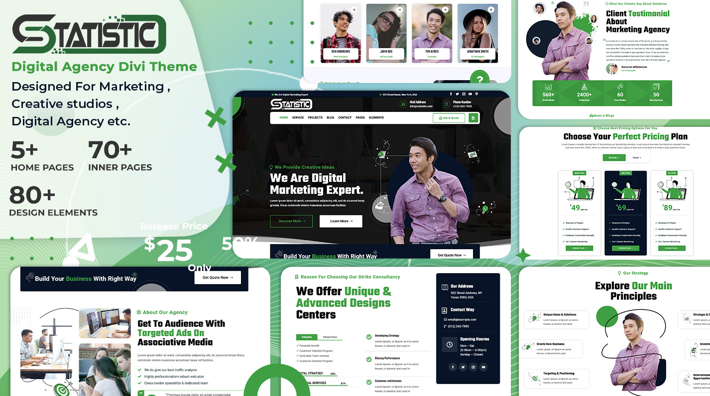 divi digital marketing theme